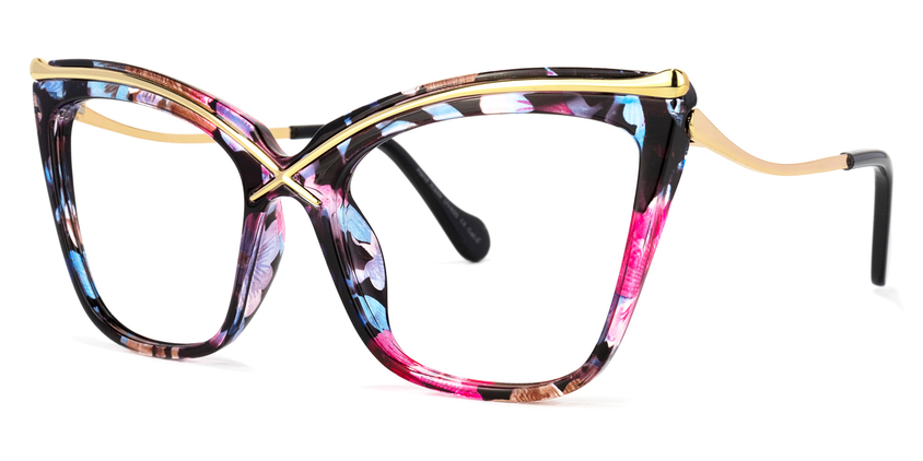 Metal Plastic Frame