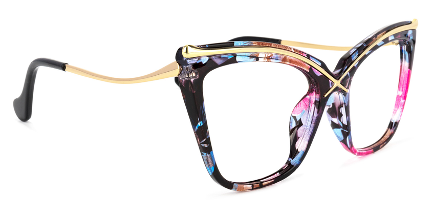 Metal Plastic Frame