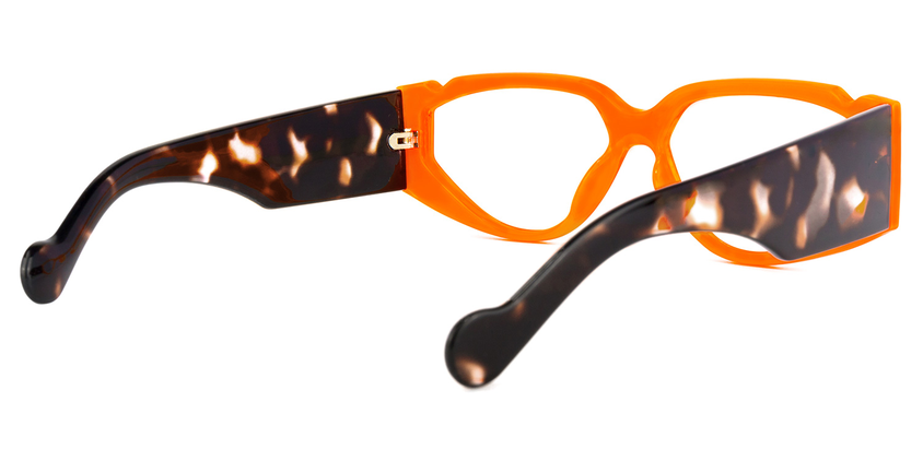 Plastic Frames
